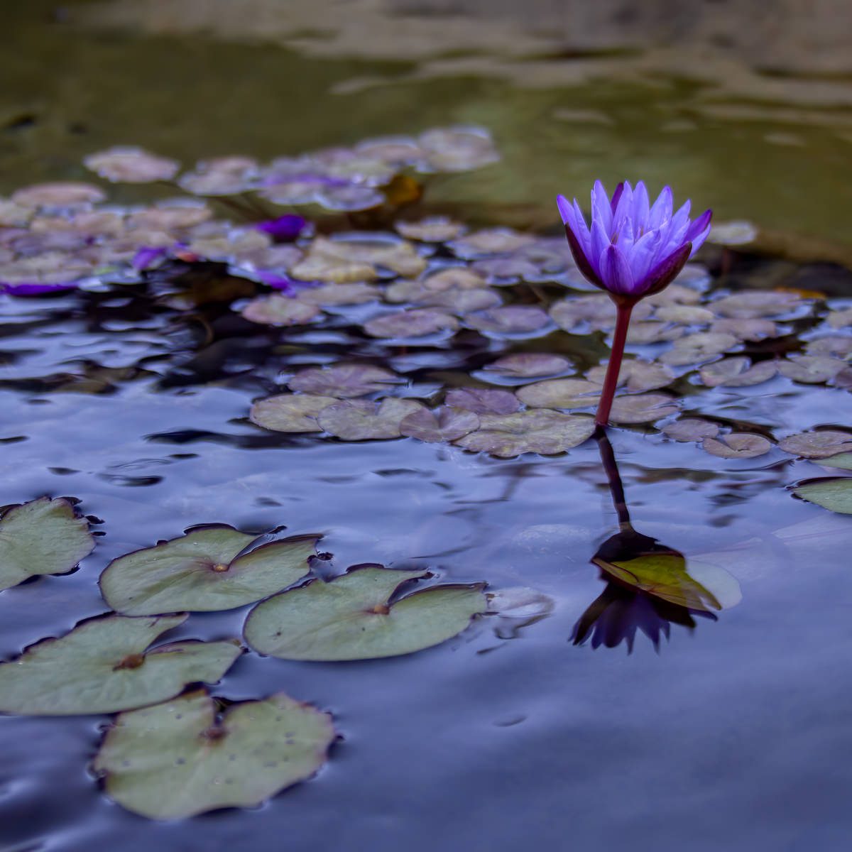 Afloat
