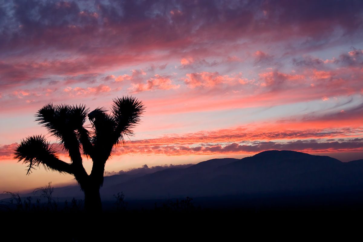 Sunset Over Mojave